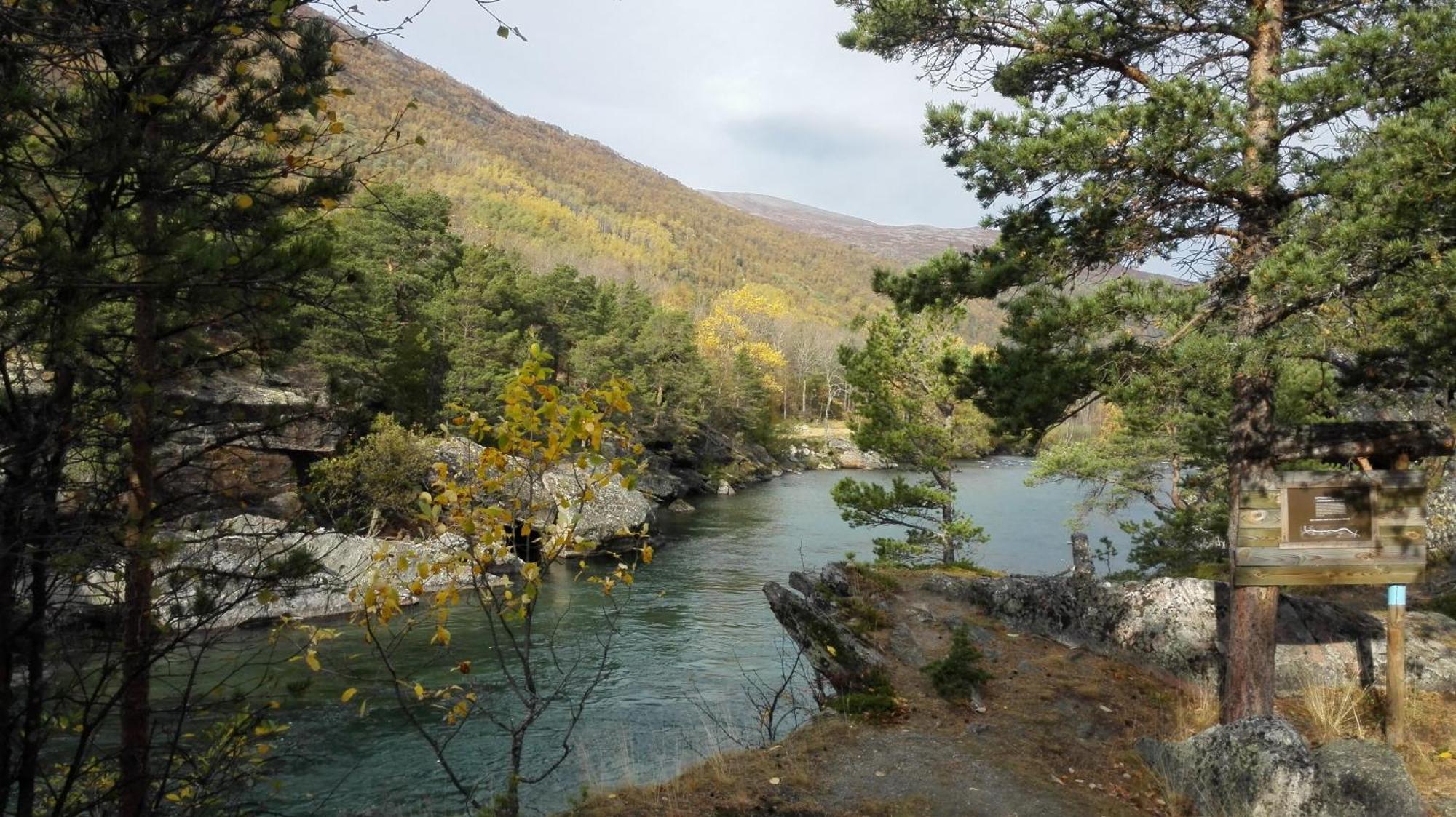 Driva Hytter Oppdal Dış mekan fotoğraf