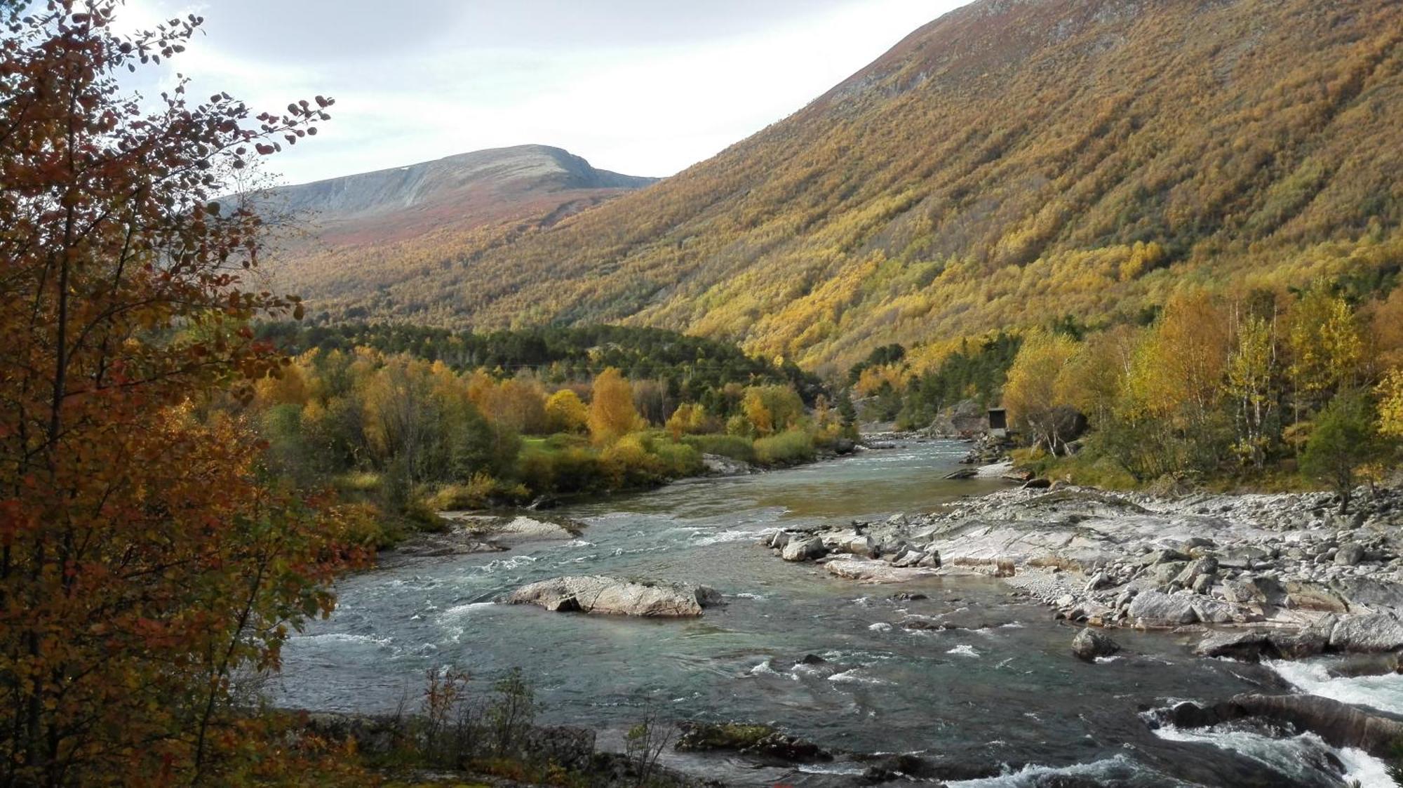 Driva Hytter Oppdal Dış mekan fotoğraf